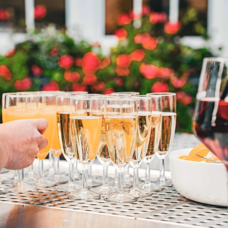 Gläser mit Aperitifs auf der Theke, im Hintergrund blühende Pflanzen.